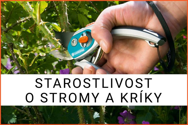 rozcestnik-starostlivost-stromy3